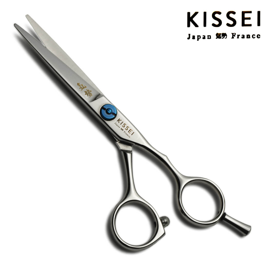 ciseaux droits de coiffure proline 5.5 pouces 