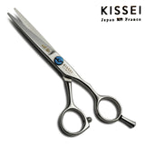 ciseaux droits de coiffure proline 5.5 pouces 
