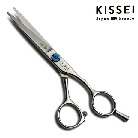 ciseaux droits de coiffure proline 5.5 pouces 