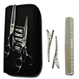 kit de ciseaux osaka gauchers geode, comportant les 2 paires de ciseaux, les pinces sépares mèche yspark shark ainsi que le peigne yspark 339